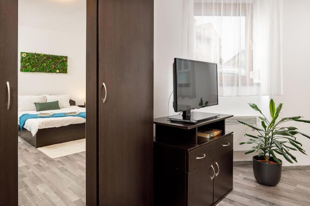 Apartament cu 1 dormitor